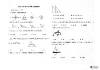 山东省德州市 宁津县育新中学、刘营伍中学 2023-2024学年八年级上学期11月期中数学试题