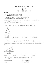 湖南省娄底市双峰县2023-2024学年八年级上学期期中数学试题