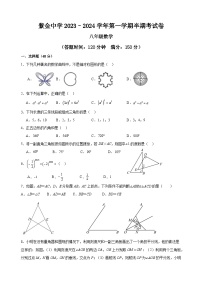 福建省龙岩市上杭县紫金中学2023-2024学年八年级上学期期中考试数学试题