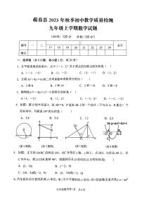 湖北省黄冈市蕲春县2023-2024学年九年级上学期期中考试数学试题