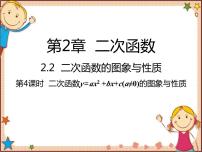 北师大版九年级下册1 二次函数课堂教学课件ppt