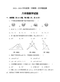 山东省济宁市金乡县2023-2024学年八年级上学期期中考试数学试题