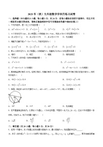 江苏省宿迁市宿豫区三校2023-2024学年九年级上学期10月月考数学试题