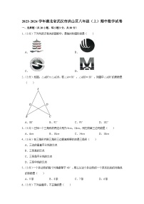 湖北省武汉市洪山区2023-2024学年八年级上学期期中数学试卷