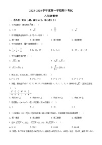 广东省茂名市电白区2023-2024学年八年级上学期期中数学试题