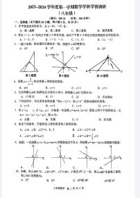 安徽省合肥市五十中教育集团望岳校区2023—2024学年八年级上学期期中考试数学试卷