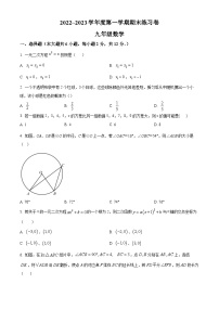 江苏省南京市栖霞区南京外国语学校仙林分校2022-2023学年九年级上学期期末数学试题