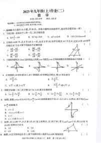 湖南省娄底市双峰县2023-—2024学年九年级上学期11月期中数学试题