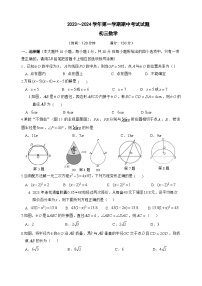江苏省南菁高级中学实验学校2023-2024学年九年级上学期期中数学试卷