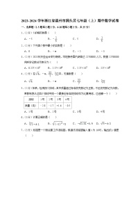 浙江省温州市洞头区2023—2024学年上学期七年级期中数学试卷