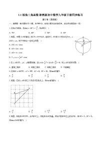 初中数学浙教版九年级下册1.1 锐角三角函数优秀课后复习题