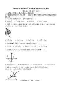 28，上海市普陀区2023-2024学年九年级上学期期中数学试题(无答案)