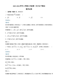 河南省新乡市原阳县2023-2024学年九年级上学期10月月考数学试题（解析版）