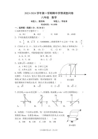广东省深圳市宝安中学2023-2024学年八年级上学期期中数学试卷