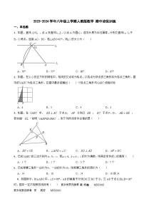 2023-2024学年人教版八年级上册 数学 期中培优训练