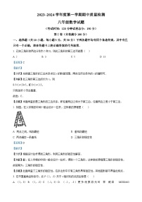 安徽省合肥市包河区2023-2024学年八年级上学期期中数学试题（解析版）