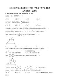 安徽省合肥市第四十八中学2023-2024学年九年级上学期期中数学试题