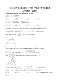 安徽省合肥市第四十八中学2023-2024学年九年级上学期期中数学试题