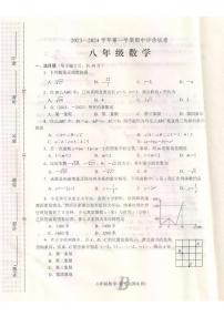 河南省平顶山市宝丰县2023-2024学年八年级上学期11月期中数学试题