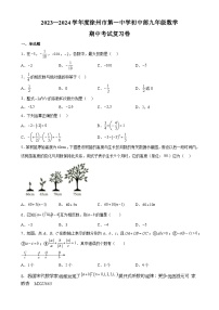 江苏省徐州市第一中学初中部2023—2024学年上学期七年级数学期中复习卷