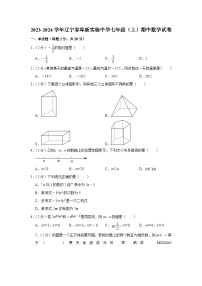 辽宁省阜新实验中学2023—2024学年上学期七年级期中数学试卷