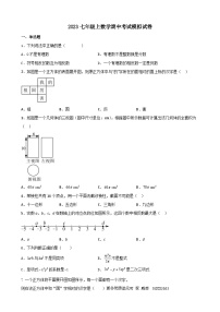 四川省成都市温江区光华实验中学校2023—2024学年上学期七年级数学期中考试模拟卷