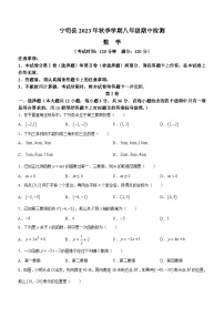 广西壮族自治区崇左市宁明县2023-2024学年八年级上学期期中数学试题