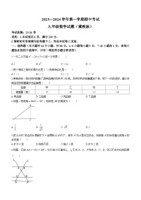 河北省邢台市2023-2024学年九年级上学期期中数学试题