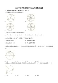 湖北省黄岗区黄梅县2023-2024学年九年级上学期期中数学试题