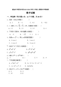 四川省内江市威远中学校2023-2024学年八年级上学期期中学情调研数学试题