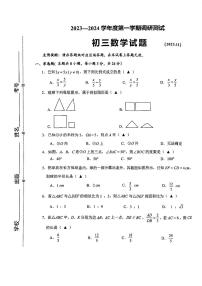 江苏省淮安市淮阴区2023-2024学年九年级上学期期中调研测试数学试题