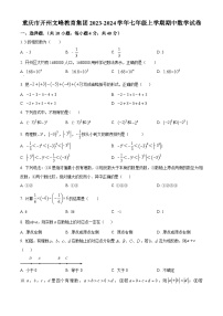 重庆市开州文峰教育集团2023-2024学年七年级上学期期中数学试题