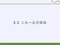 浙教版七年级下册2.2 二元一次方程组教案配套ppt课件