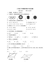 2021-2022学年济南市天桥区第五十六中学八年级下期中数学试卷（无答案）