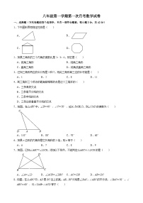 八年级上学期第一次月考数学试卷 (11)