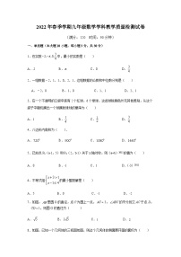 2022年广东省惠州市博罗县九年级一模数学试题