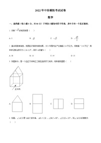 2022年河南省洛阳市嵩县九年级中考模拟考试数学试题