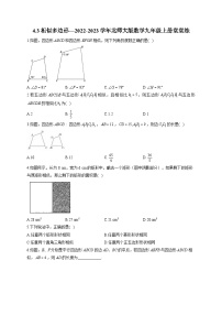 北师大版九年级上册3 相似多边形练习题