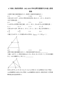 北师大版九年级上册7 相似三角形的性质随堂练习题