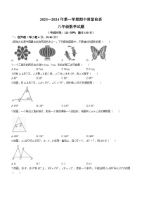 福建省龙岩市长汀县2023-2024学年八年级上学期期中数学试题