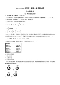 河南省驻马店市泌阳县2023-2024学年七年级上学期期中数学试题