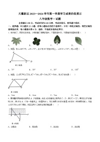 山东省德州市天衢新区2023-2024学年八年级上学期期中数学试题