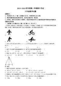 江苏省连云港市东海县2023-2024学年八年级上学期期中数学试题