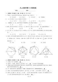 2023-2024学年江苏省南京市浦口区书人实验学校九年级上学期数学期中考试