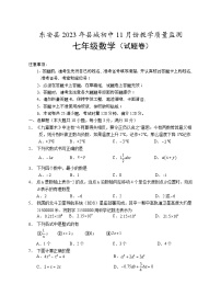 湖南省永州市东安县2023--2024学年期上学期中教学质量监测七年级数学试题