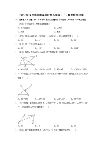 河南省周口市2023-2024学年八年级上学期期中数学试卷