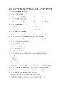 福建省泉州市洛江区2023-2024学年八年级上学期期中数学试卷