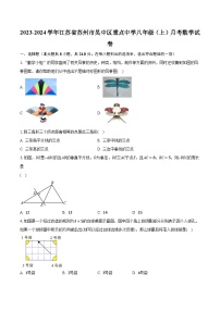 2023-2024学年江苏省苏州市吴中区重点中学八年级（上）月考数学试卷（含解析）