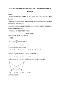 2023-2024学年湖南省郴州市汝城县八年级上学期期中数学质量检测模拟试题（含解析）