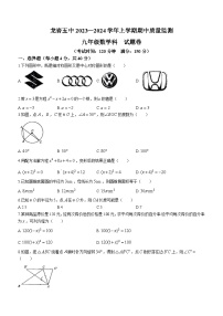 福建省龙岩市第五中学2023-2024学年九年级上学期期中数学试题